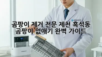 곰팡이 제거 전문: 제천 흑석동 곰팡이 없애기 완벽 가이드