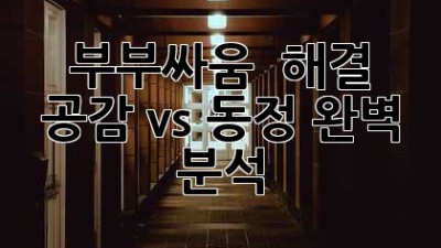 부부싸움 💥 해결🔑? 공감❤️‍🩹 vs 동정🤔 완벽 분석!